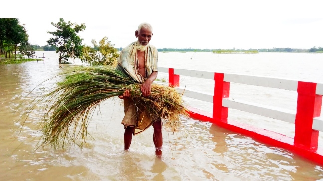 লাফিয়ে লাফিয়ে বাড়ছে পদ্মার পানি